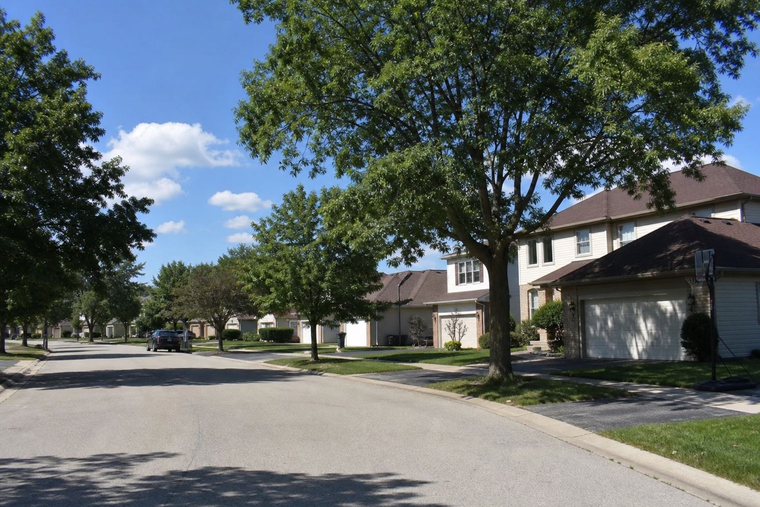 Tree-lined residential street in Bolingbrook, Illinois